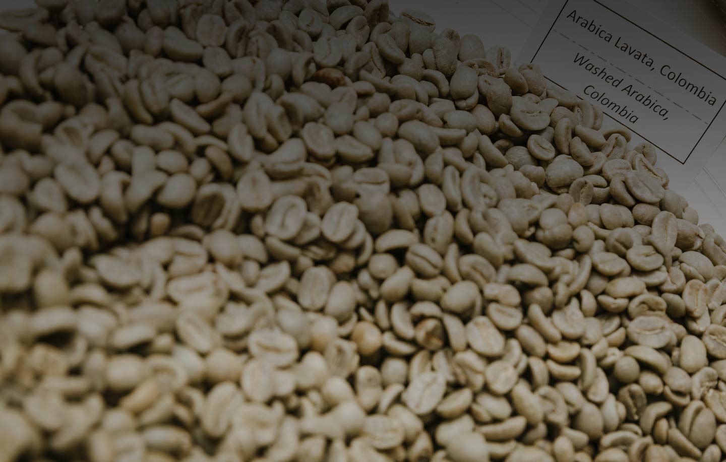 Arabica